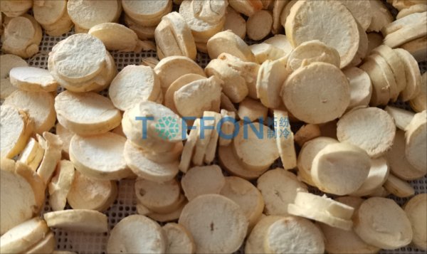 中藥材冷凍干燥機(jī)研究